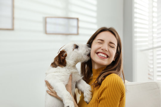 Happy pets with owner