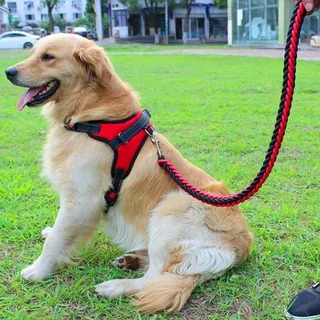 Pet Harness